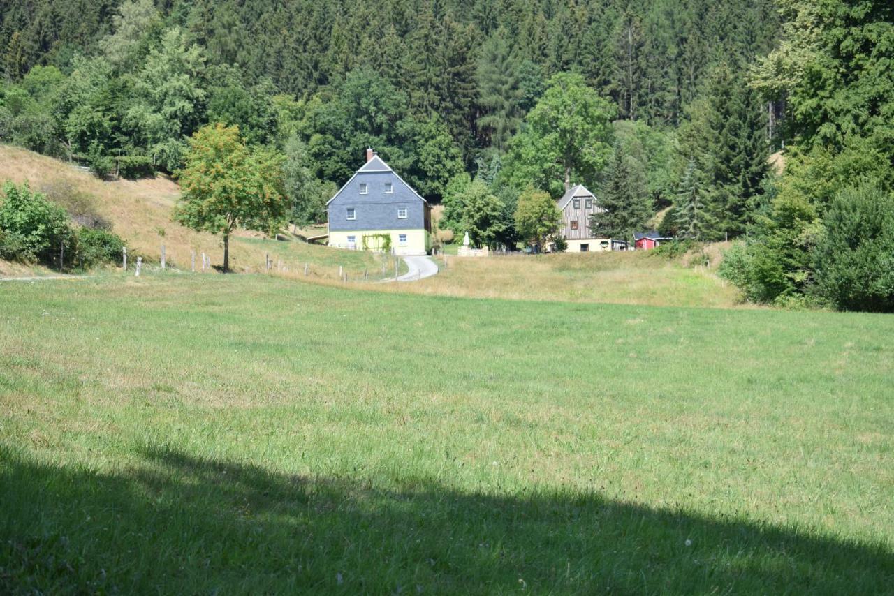 Ferienwohnung Waldmühle Saupsdorf Exterior foto